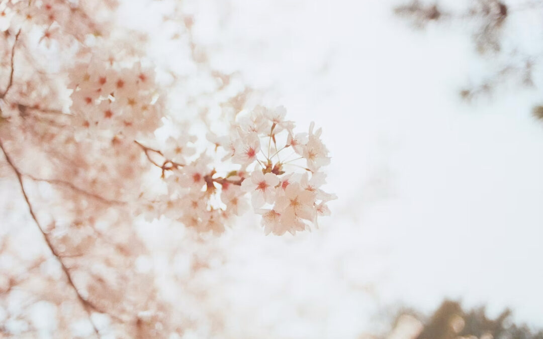 Self-Care Tips You Can Do Today