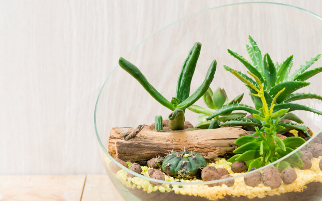 Pillars of Good Mental Health