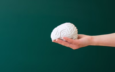 The Impact of Trauma on the Brain